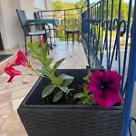 Sandra Apartamento Novigrad Istria