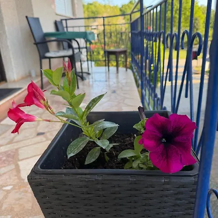 Sandra Apartamento Novigrad Istria